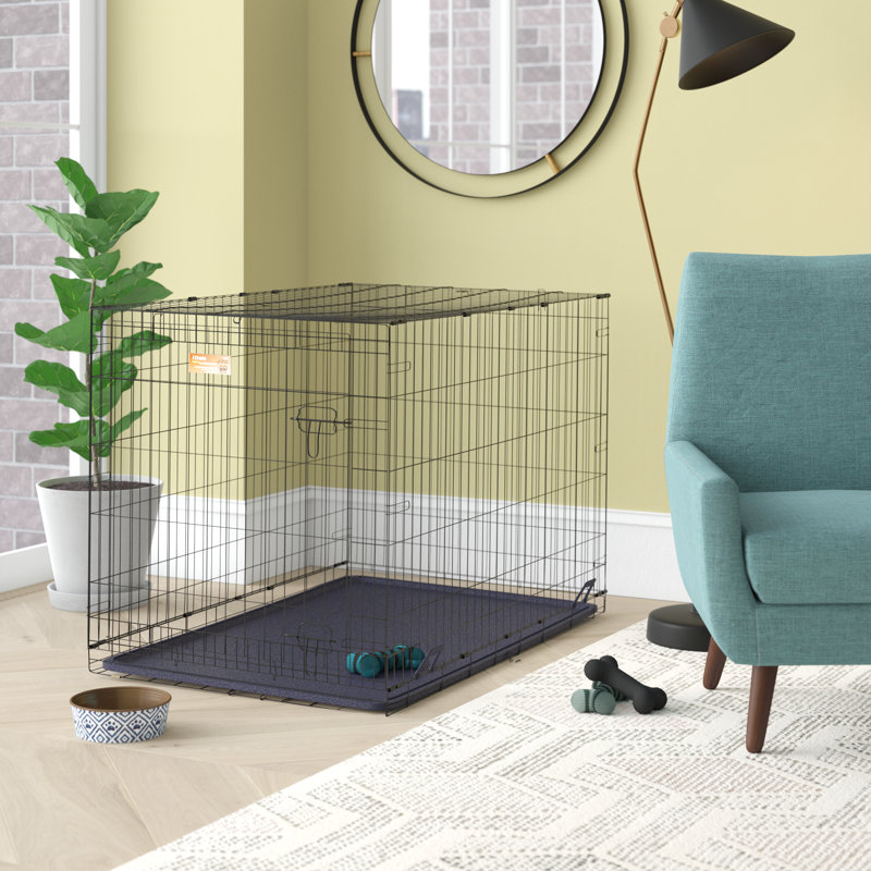 Archie & Oscar™ Traci Single Door Pet Crate & Reviews Wayfair